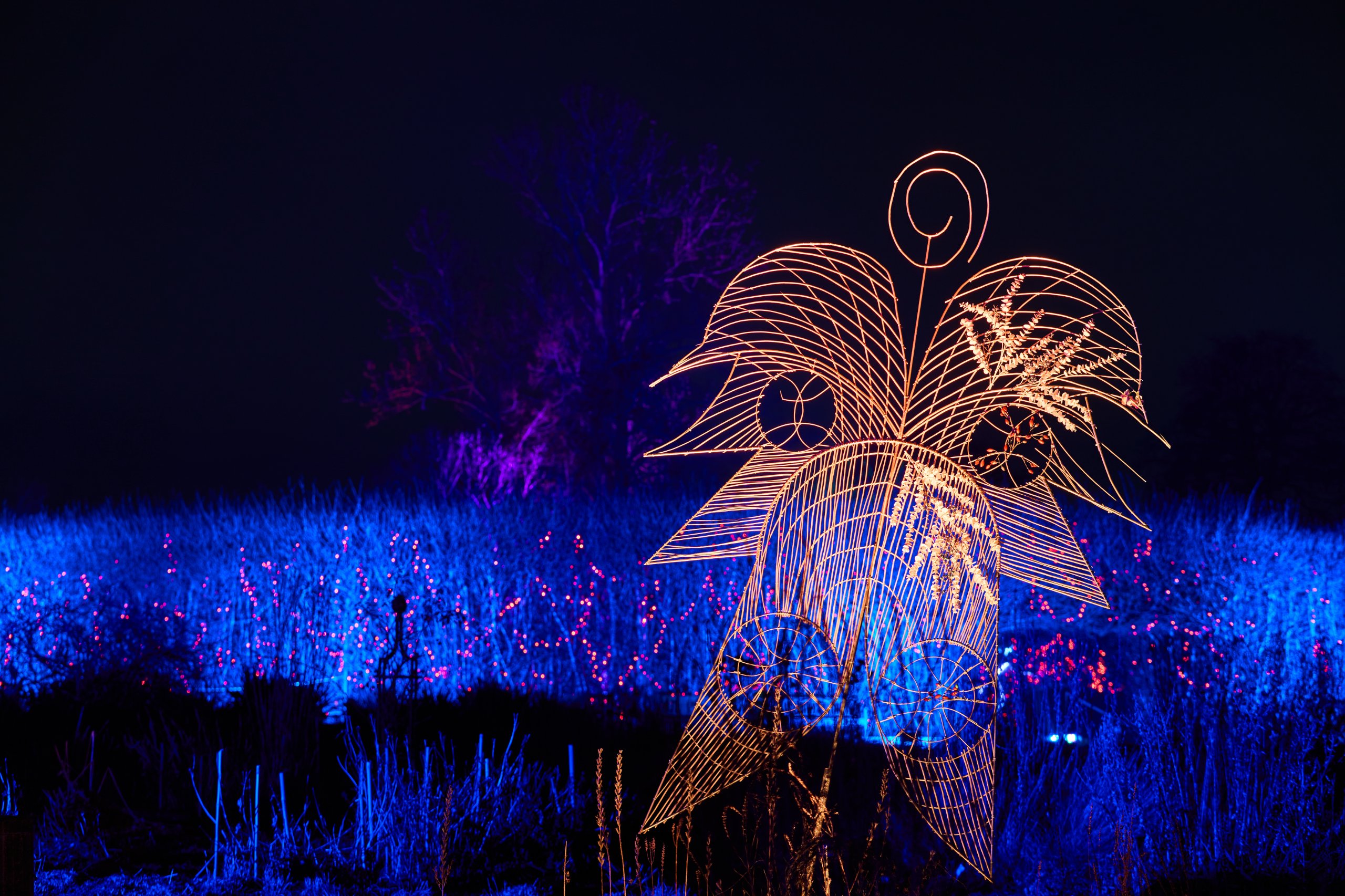 2026 02 05 Parkleuchten 0437